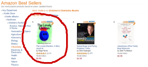 bestselling Amazon author
