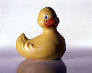 sad duck