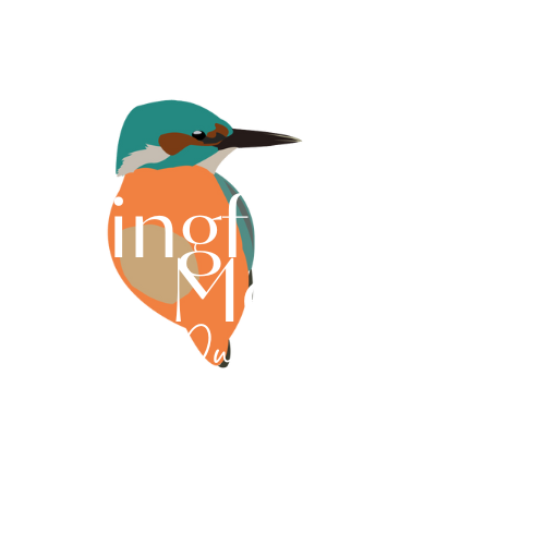 kingfisher media publishing